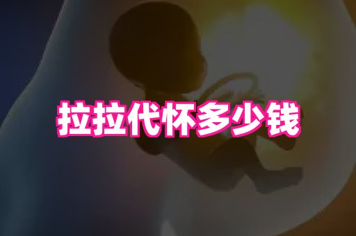 61助孕网 2