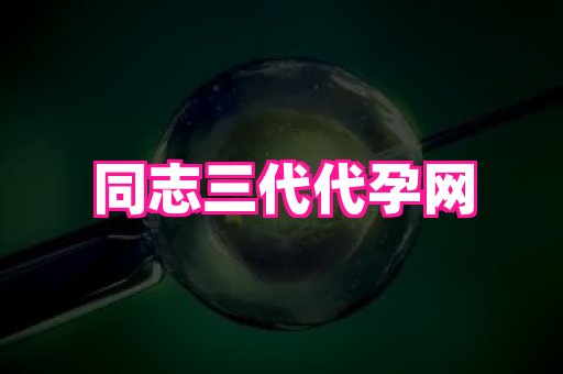 61助孕网 3